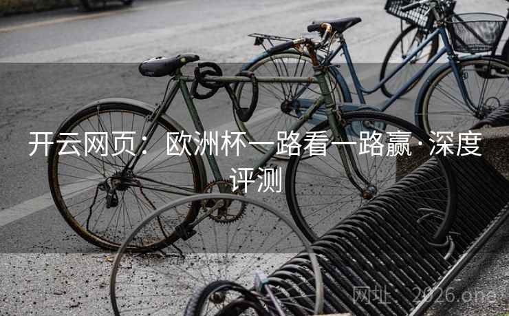开云网页：欧洲杯一路看一路赢·深度评测