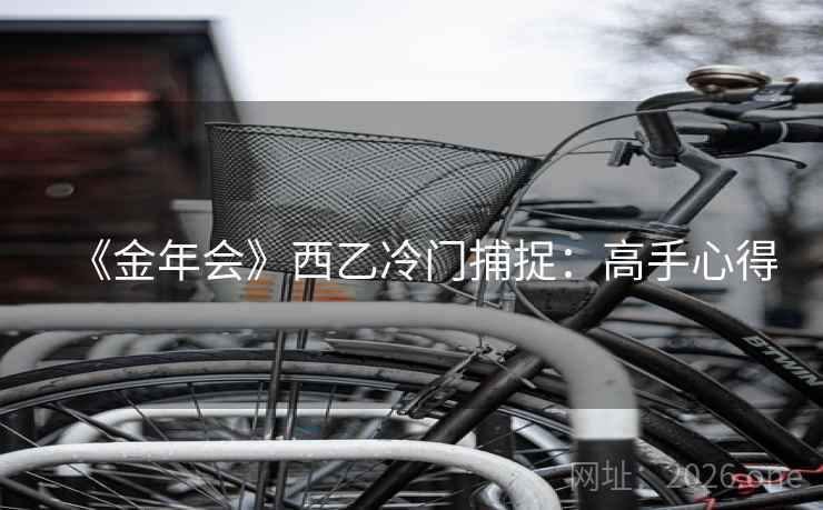 《金年会》西乙冷门捕捉：高手心得