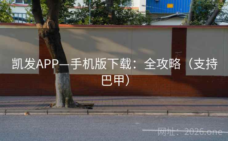 凯发APP—手机版下载：全攻略（支持巴甲）