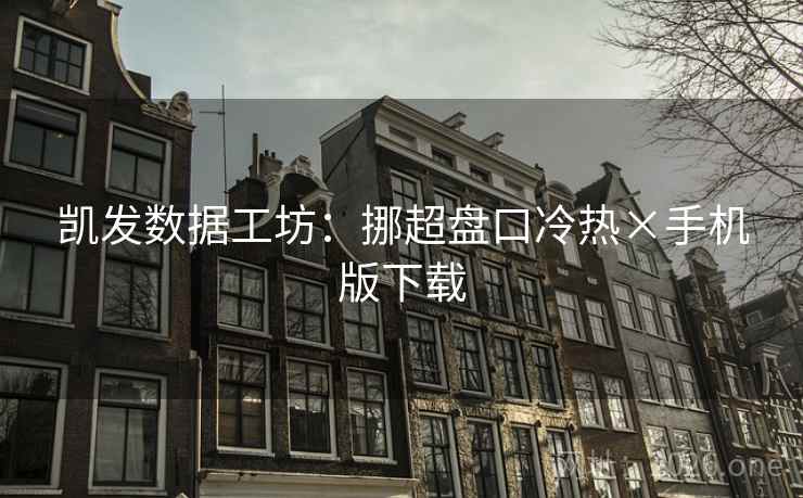 凯发数据工坊：挪超盘口冷热×手机版下载
