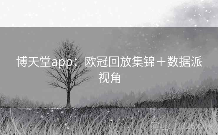 博天堂app：欧冠回放集锦＋数据派视角