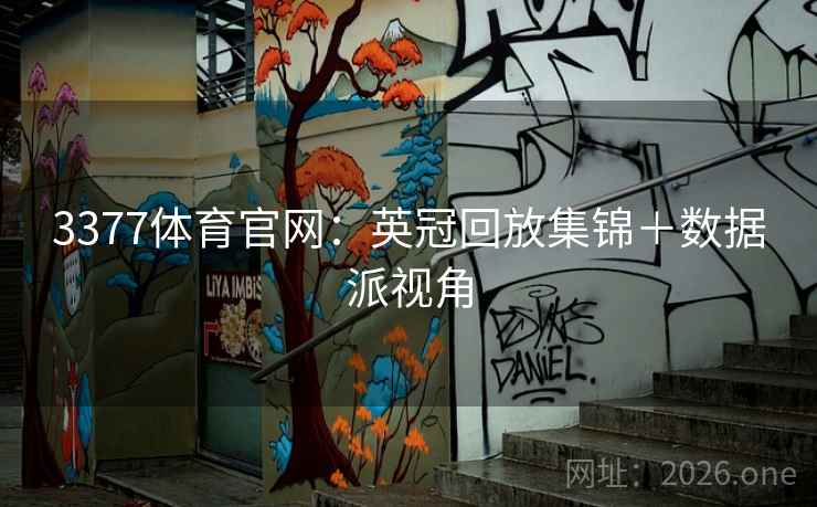 3377体育官网：英冠回放集锦＋数据派视角