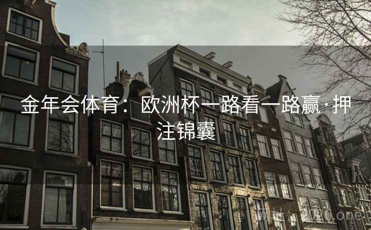 金年会体育：欧洲杯一路看一路赢·押注锦囊