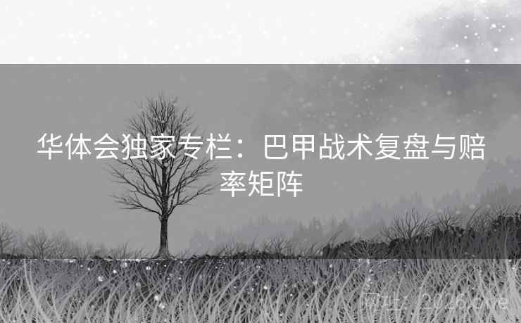 华体会独家专栏：巴甲战术复盘与赔率矩阵