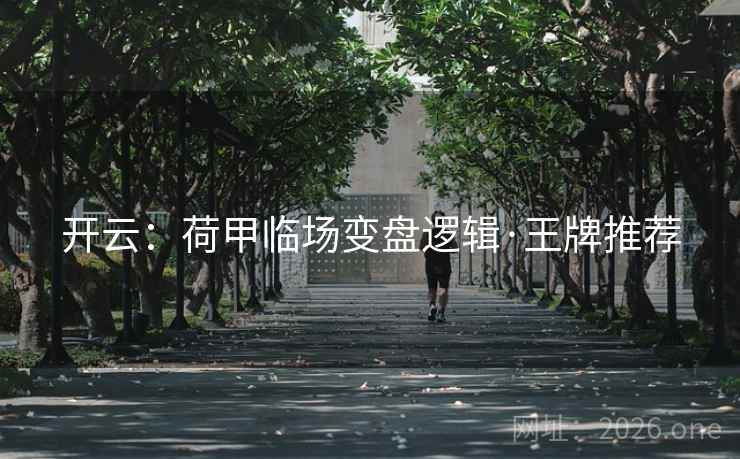 开云:荷甲临场变盘逻辑·王牌推荐 开云:荷甲临场变盘逻辑·王牌推荐